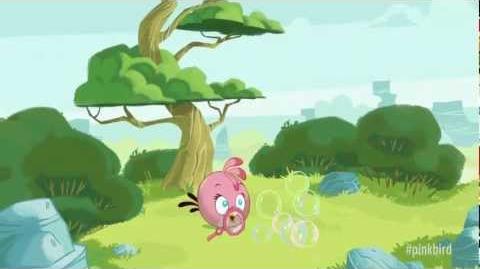 Meet the Pink Bird A new member of the Angry Birds!