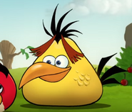 Chuck in the 2010-2011 animated design, note that he is darker than other animations.