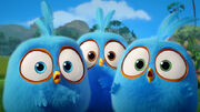 Angry-birds-blues-rovio