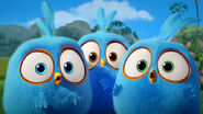 Angry-birds-blues-rovio