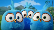 Screenshots of Angry Birds Blues featuring the three Blues.