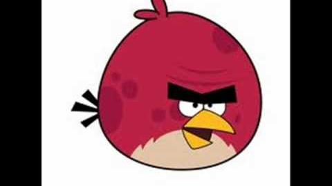 Angry birds personajes pajaros