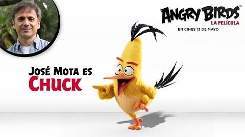 ANGRY BIRDS LA PELÍCULA. José Mota presenta a Chuck