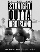 Straight Outta Bird Island a parody of Straight Outta Compton