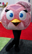 2013 mascot costume