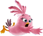 Adobe 20170511 223712