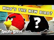 Angry Birds x Billebeino - New Bird in Town!