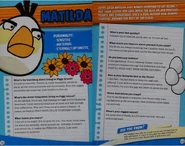 Character interview (The World of Angry Birds Official Guide)