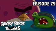 Angry Birds Toons Nighty Night Terence - S1 Ep29