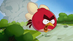 Off Duty, Angry Birds Wiki