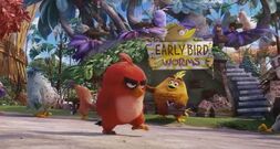 EarlyBird