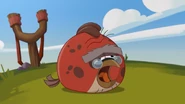 Age Rage | Angry Birds Wiki | Fandom