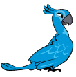 Jewel-1-.png