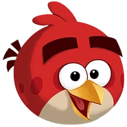 ABActivityPark BirdImage1