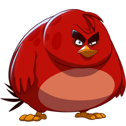 very fat angry birds