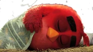 Angry Birds Movie Red Sleeping.jpg (86 kB)