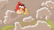A crowd of birds and pigs chasing the golden egg.