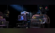 A shot of all of the captured birds, Blu, Jewel, and Nigel.