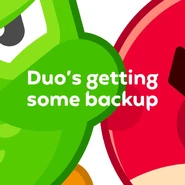 Advertisement for the partnership