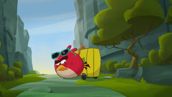 Off Duty, Angry Birds Wiki