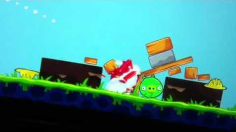 Angry birds bug