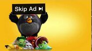 Skip ad- Angry Birds 2-3