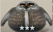 Angry Birds Evolution Duane.jpg (8 KB) Normal.