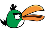 Boomerang Bird 1