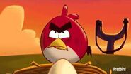 Red's Mighty Feathers - Angry Birds update with new gameplay