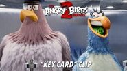 The Angry Birds Movie 2 – Key Card Clip - At Cinemas August 2