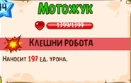 Мотожук