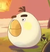 Matilda as she appeared in Thank you: Angry Birds Year of the Dragon Lantern video.