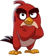 Red Angry Birds POP Blast.png (444 KB) Red Angry Birds POP Blast