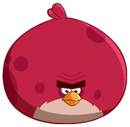 Terence as seen in Angry Birds Epic.