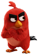 The Angry Birds Movie