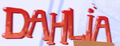 Dahlia's logo