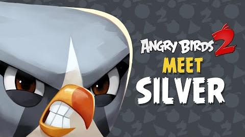 Angry Birds 2 – Meet Silver Looping legend!