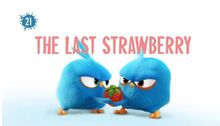 TheLastStrawberry