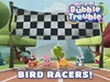 Bird Racers!