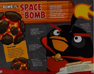 Character info (The World of Angry Birds Official Guide)