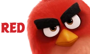 The Angry Birds Movie