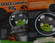 Angry Birds Space character info (The World of Angry Birds Official Guide)