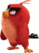 The Angry Birds Movie