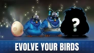 Angry Birds Evolution Myles.png (162 KB)