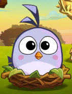 A Level 3 Hatchling in Angry Birds 2