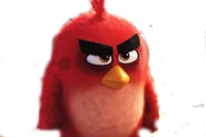 The Angry Birds Movie Red anger.jpg (28 kB)