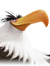 Mighty Eagle