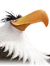 Mighty Eagle