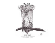 AngryBirds FrancescaNatale 11.jpg (108 KB) AngryBirds FrancescaNatale 11