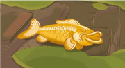 Golden-Koi-Fish